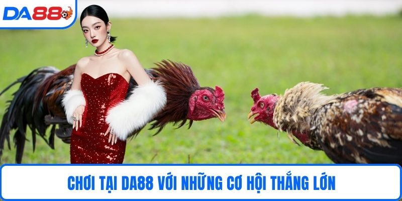 Chơi tại DA88 với những cơ hội thắng lớn